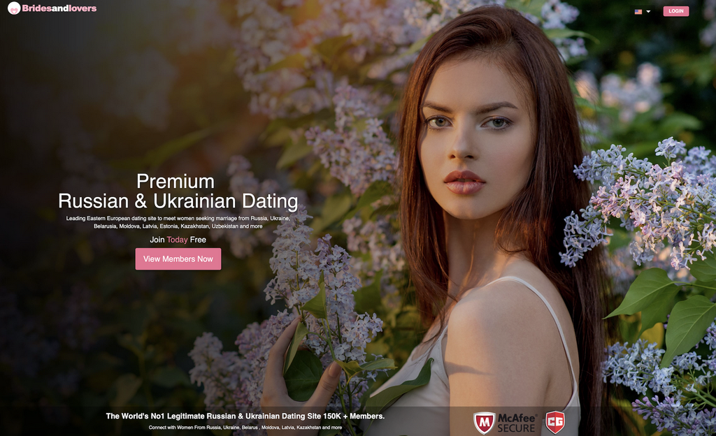 Amorpulse: Online Internet Dating Platform